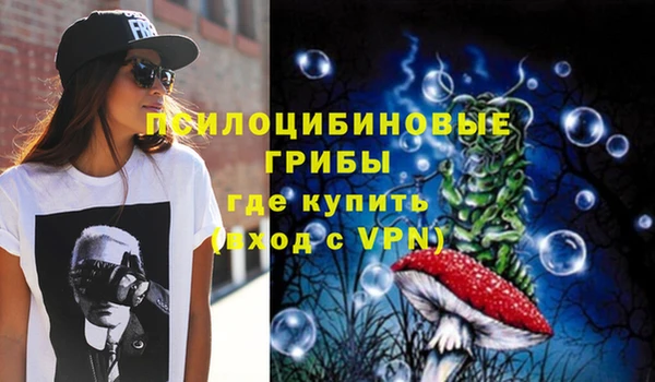 a pvp Белоозёрский
