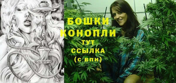 дживик Осинники