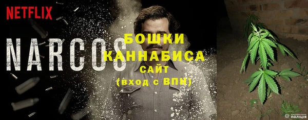 шишки Баксан
