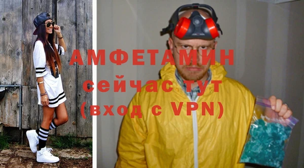 прущие грибы Балахна