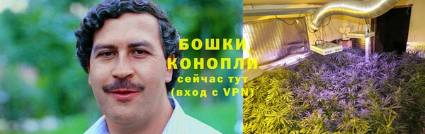 дживик Осинники
