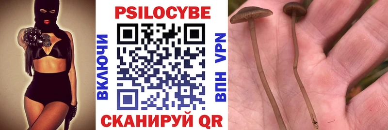 Галлюциногенные грибы мицелий  MEGA рабочий сайт  Ялта 